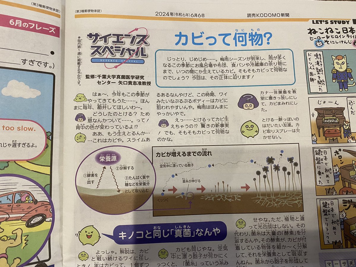 2週続けて読売KODOMO新聞は菌づいてる。きのこレザー、カビ