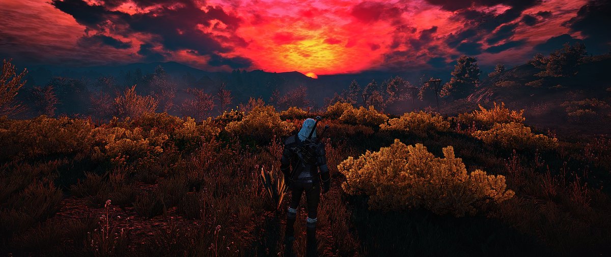 TiPanda's tweet image. #TheWitcher3 #UltraWideScreen #NVIDIA #ReShade I found these 😆