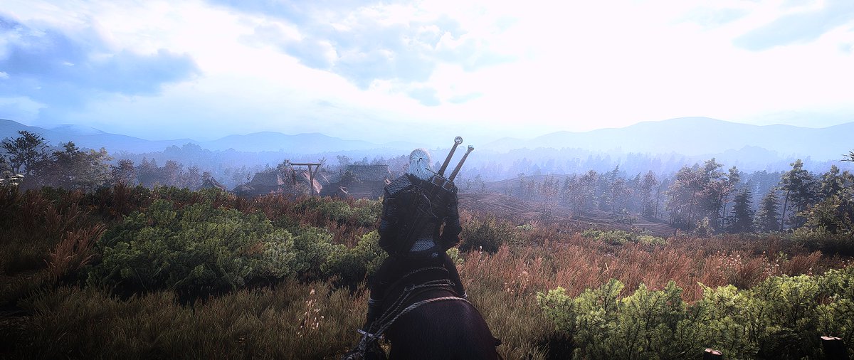 TiPanda's tweet image. #TheWitcher3 #UltraWideScreen #NVIDIA #ReShade I found these 😆