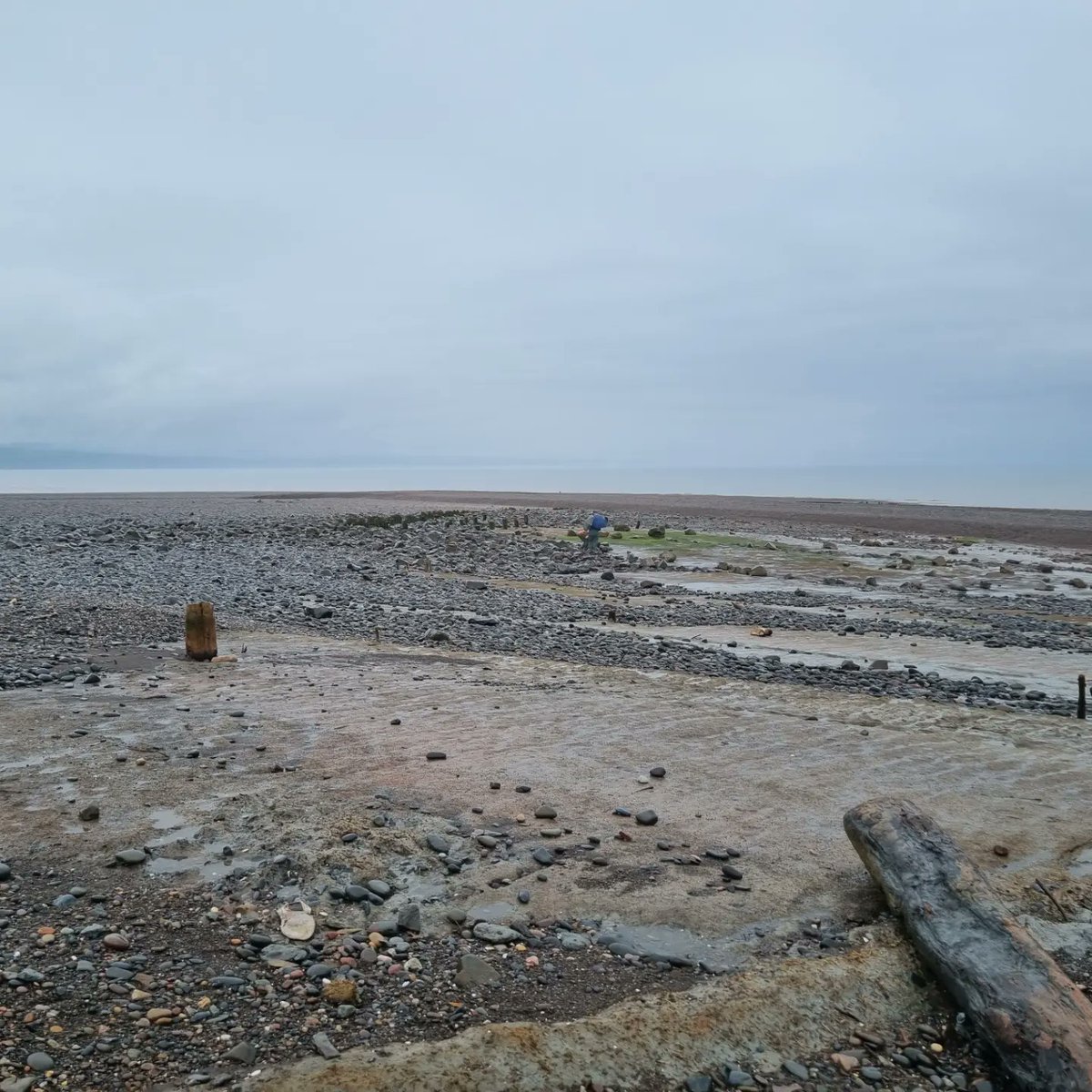 KatieDodson tweet media