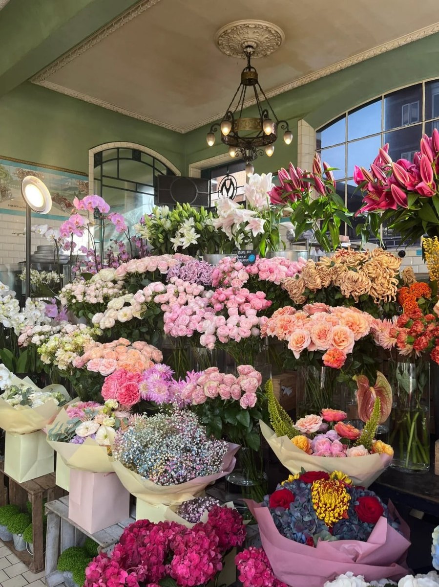 fyaldos60's tweet photo. "The beauty of flowers is a gentle reminder of the simple joys in life." 🌸🌹 https://t.co/aIXEduWaRZ