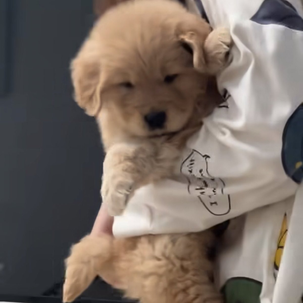 กอดอุ่นใช่มั้ยล่ะ คืนนี้ให้เค้านอนด่วยน้า 🥺