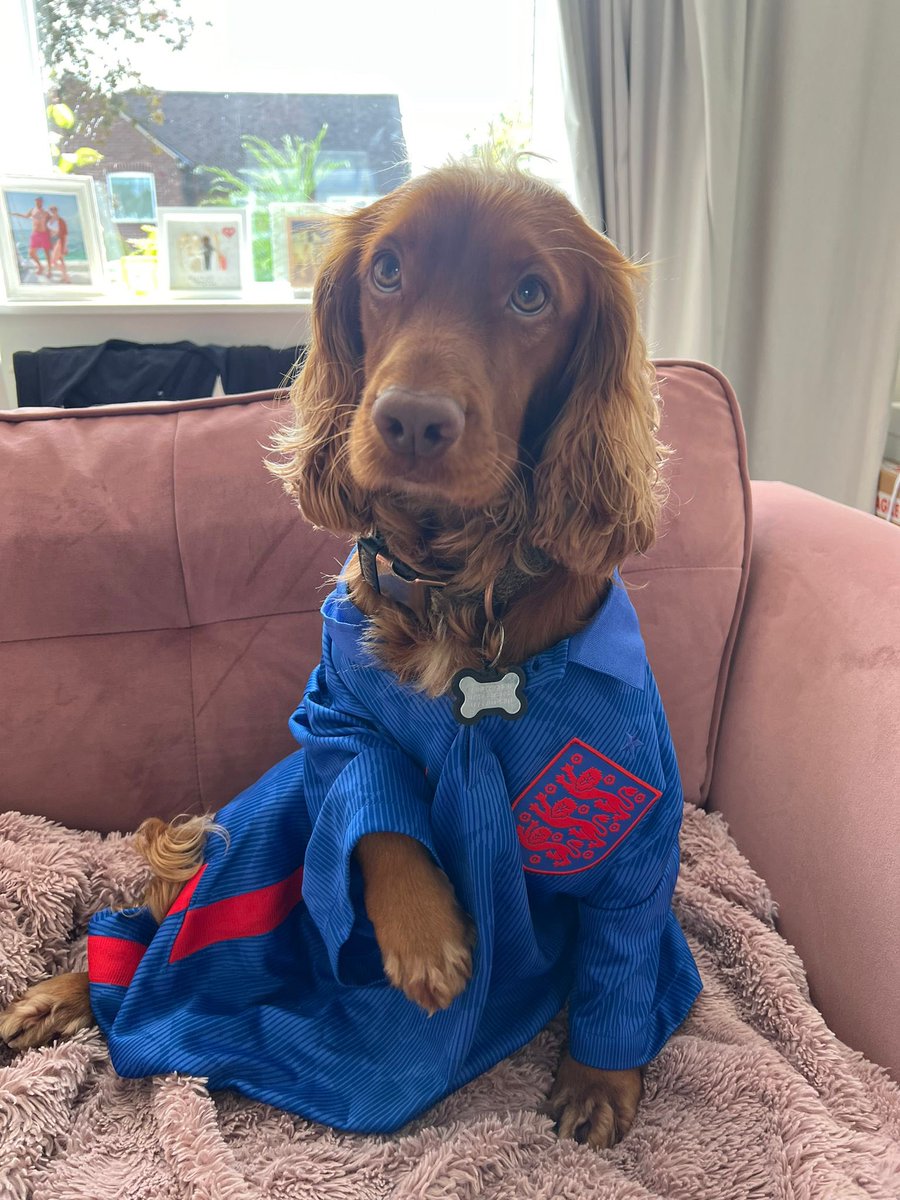 Dominic A tweet media