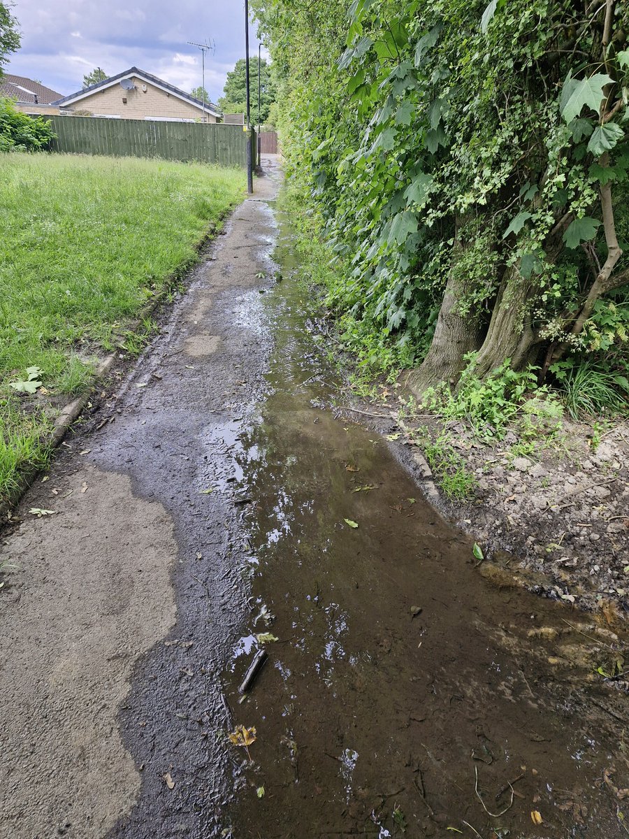ClaireToon's tweet photo. @nwater_care This leak was reported around 4 weeks ago, if not longer. Boards/barriers were put up, then removed around 2 weeks ago. The leak is now worse and it's like a stream. You can see the water running along the path. Brunswick Green, NE13. https://t.co/pZ8e6VgF04