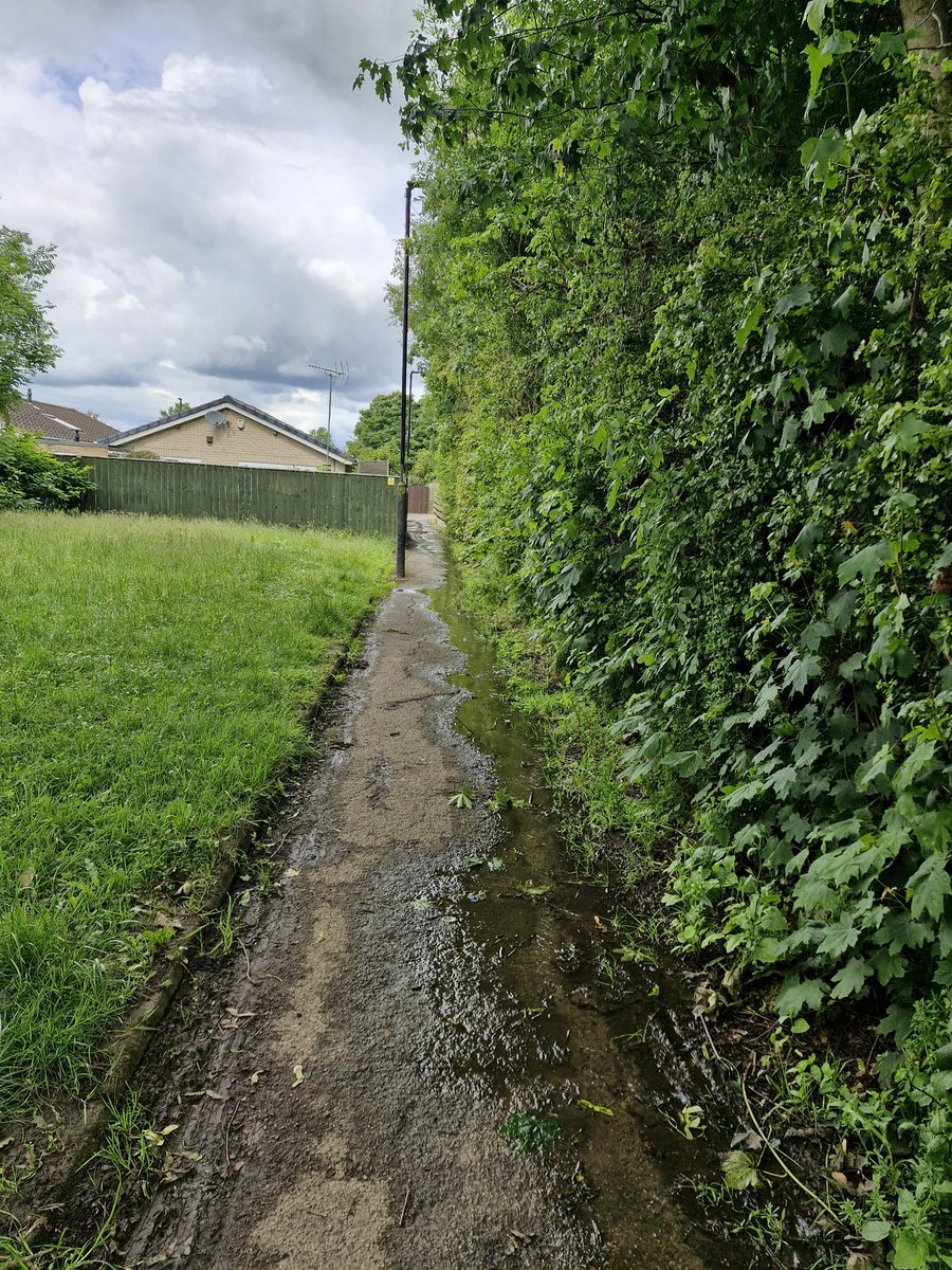 ClaireToon's tweet photo. @nwater_care This leak was reported around 4 weeks ago, if not longer. Boards/barriers were put up, then removed around 2 weeks ago. The leak is now worse and it's like a stream. You can see the water running along the path. Brunswick Green, NE13. https://t.co/pZ8e6VgF04