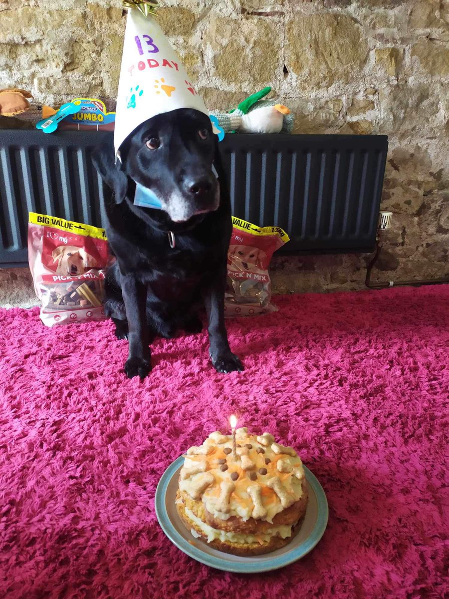 Happy birthday to RPD Mickey - 13 today 🎉 

The cake has probably gone by the time you read this post !