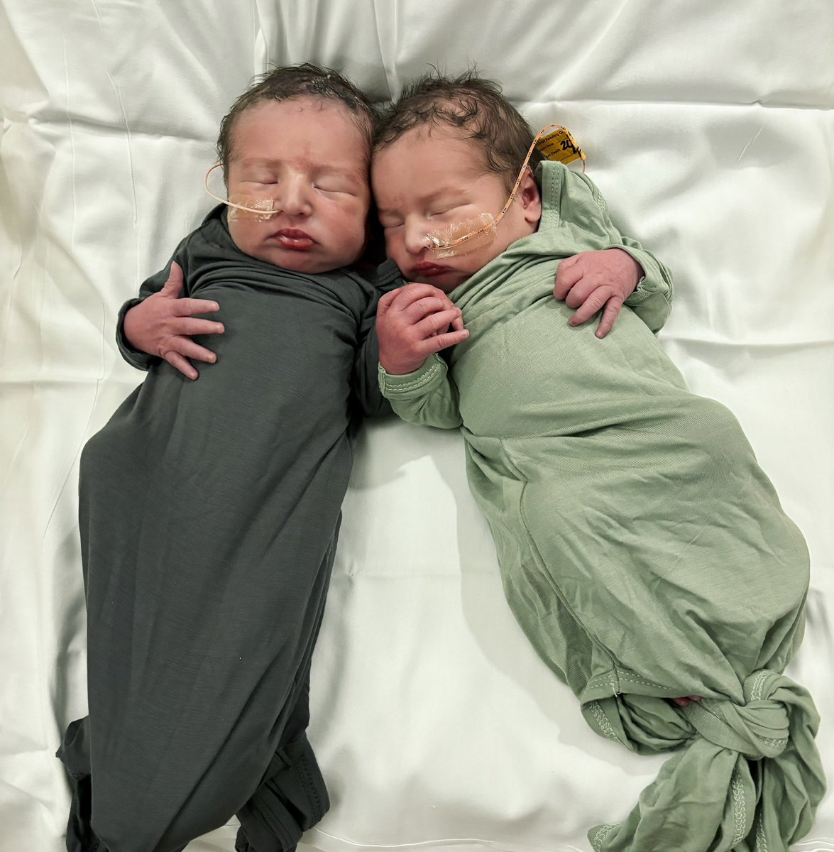 Sam Simon tweet media