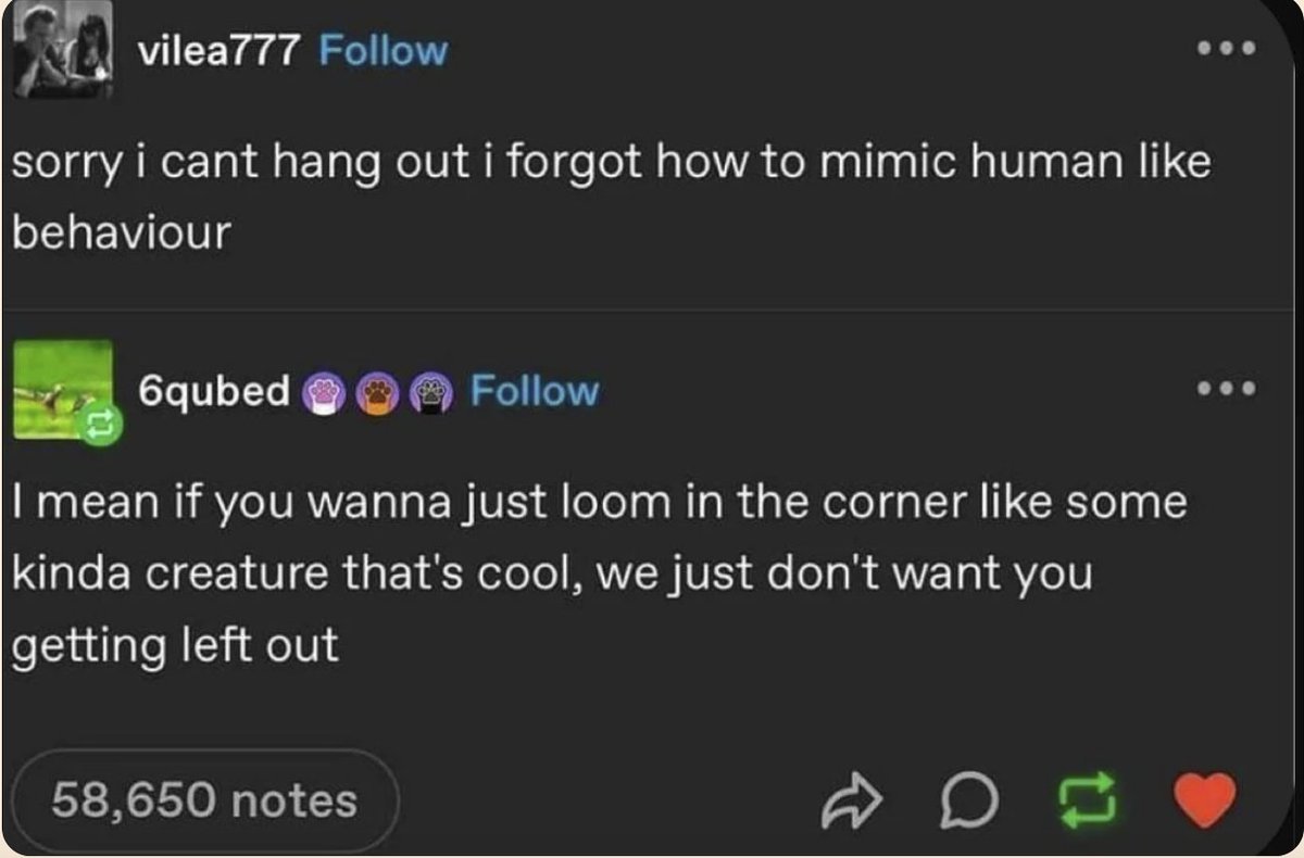 Respectful Memes (@respectfulmemes) on Twitter photo 