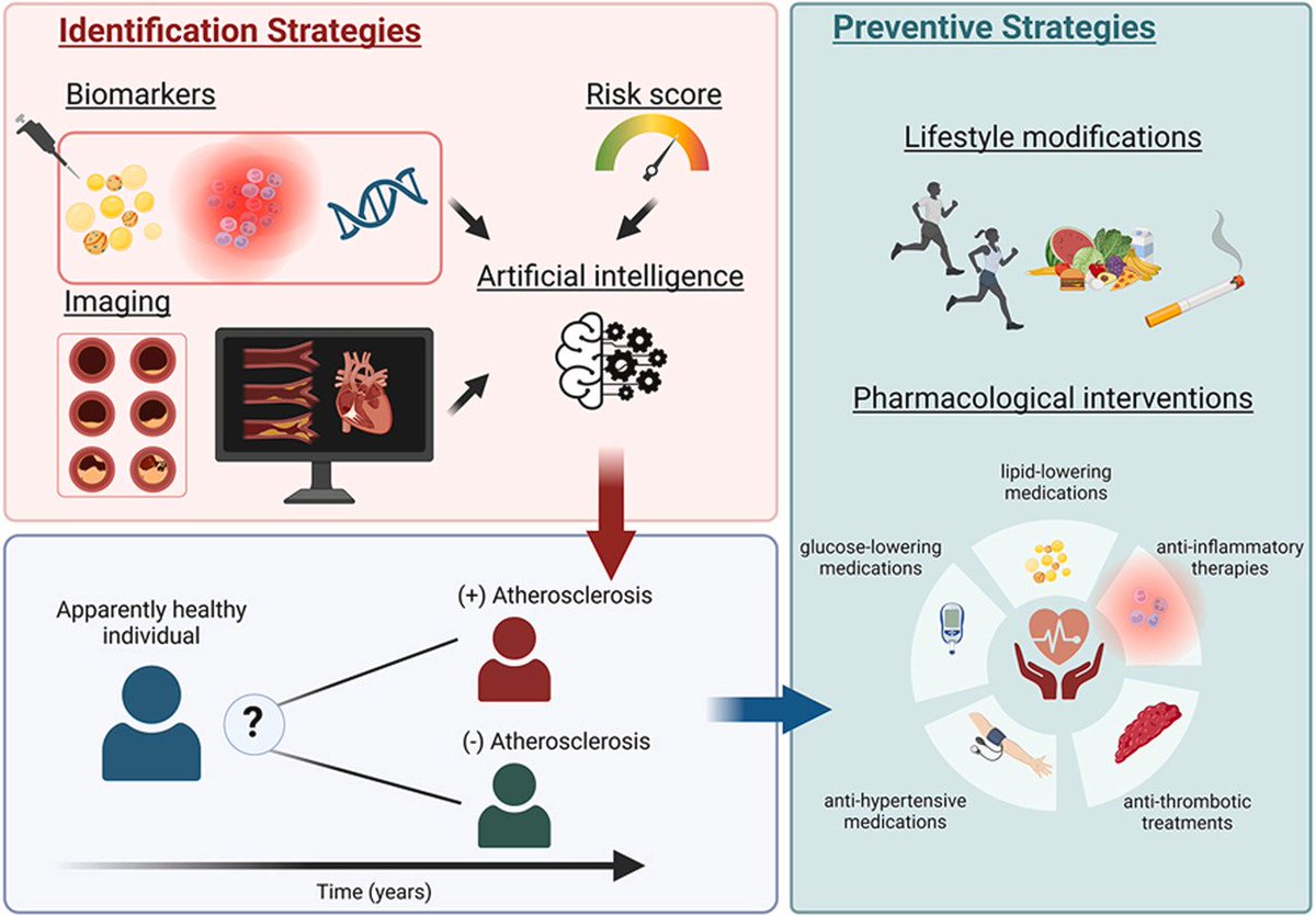 The highlights of primary cardiovascular prevention have been summarized in this review by young fellows of EAS, in which Chiara was involved. Big achievement for <a href="/AtheroMad/">AtheroMad</a> 
atherosclerosis-journal.com/article/S0021-…