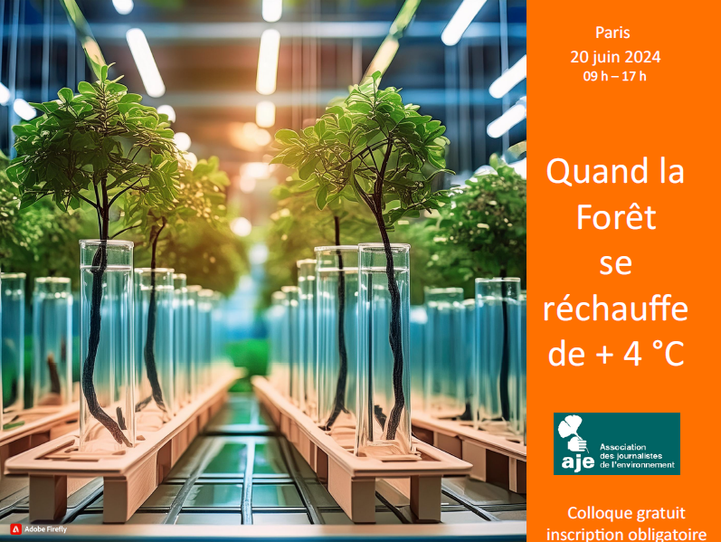 Colloque <a href="/ajeasso/">AJE</a> "Quand la forêt se réchauffe de +4°C" 20 juin 2024 9h00-17h00 <a href="/CNRS/">CNRS 🌍</a> <a href="/IGNFrance/">IGN France</a> <a href="/Canopee_asso/">Canopée Forêts Vivantes</a> <a href="/ONF_Officiel/">Office national des forêts</a> <a href="/Kayrros/">Kayrros</a> <a href="/UICNfrance/">Comité français de l'UICN</a> <a href="/littoral_cdl/">Conservatoire du littoral</a> <a href="/I4CE_/">Institut de l'économie pour le climat 🌍</a> <a href="/fncofor/">FNCOFOR</a> <a href="/WWFFrance/">WWF France 🐼</a> <a href="/FransylvaFrance/">Fransylva</a> <a href="/CoopCarbone75/">Coopérative Carbone Paris & Métropole</a> <a href="/AssoFHalleForet/">Association Francis Hallé pour la Forêt Primaire</a> <a href="/AcademieClimat/">Académie du Climat</a> aje-environnement.org