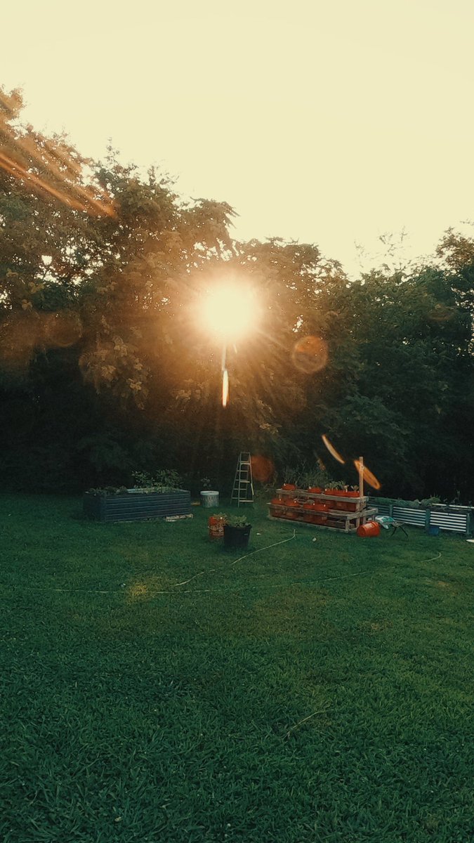 gman4bluegrass's tweet photo. Just a few minutes ago pic and edited with the #GoProQuik app 🤠✌️🇺🇸🪕🍊🎚️ https://t.co/Hiv0oFOJdJ