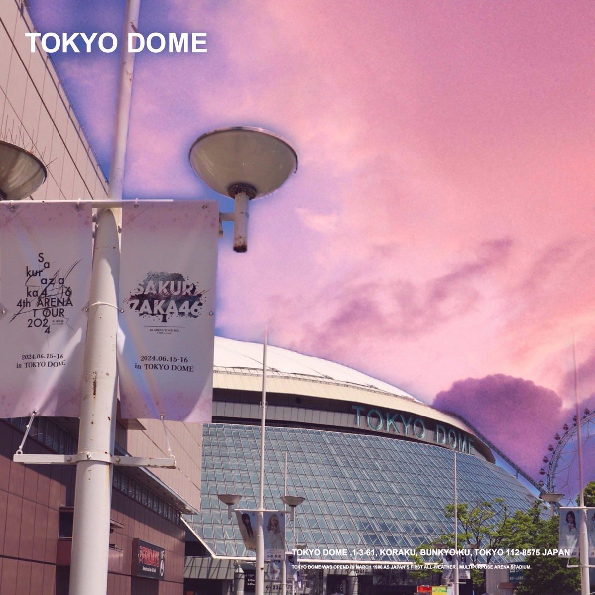 saku_saka46's tweet photo. 櫻坂46 「4th ARENA TOUR 2024 新・櫻前線 -Go on back?-IN 東京ドーム」は各日最大動員の55,000人を動員し、2日間で11万人を動員しました！

#櫻坂46_IN_TOKYODOME
#このライブ観ないなんて自業自得 https://t.co/bTnxlurfWf