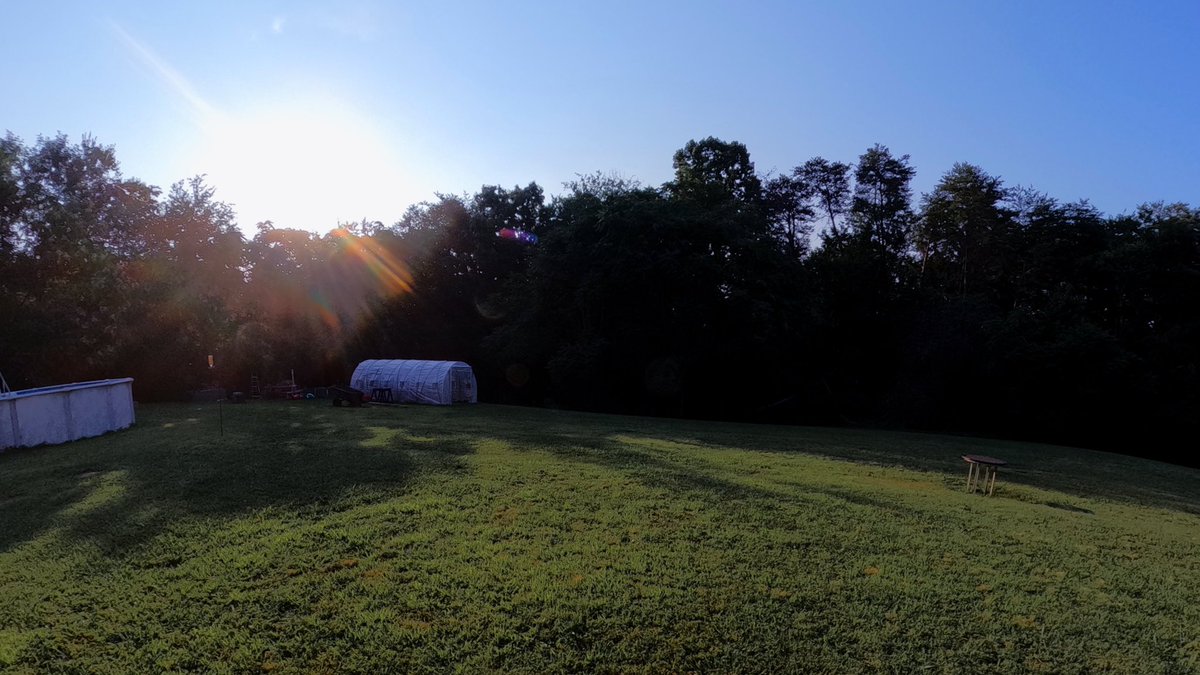 gman4bluegrass's tweet photo. Here’s 4 more from down in my hideaway #GoPro #GoProQuik 🤠✌️🇺🇸🪕🍊🎚️ https://t.co/eDnKQCElLo