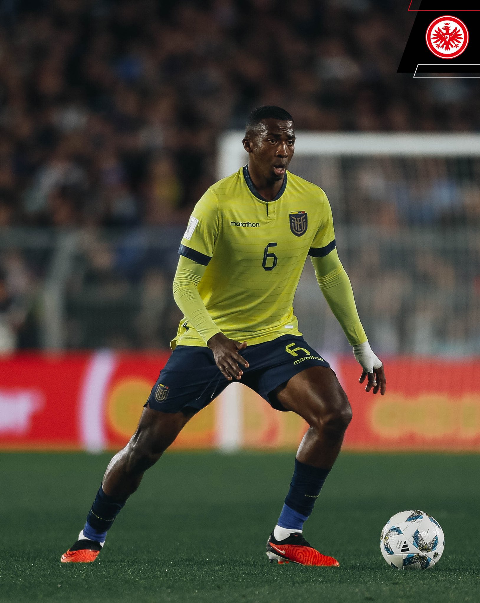 Eintracht Frankfurt على X: 