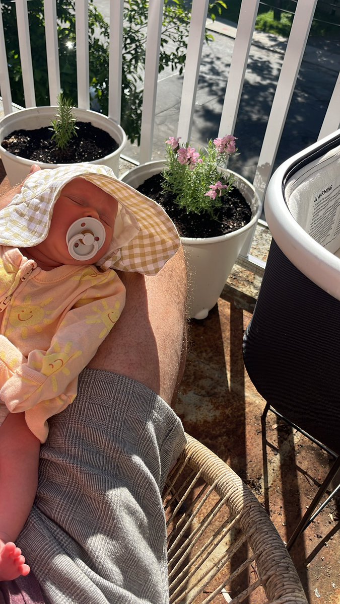 John Tripp tweet media