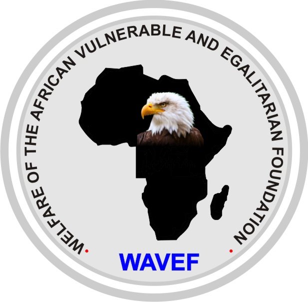 Welfare of the African Vulnerable/Egalitarian Foun (@welfarefoun) on Twitter photo 