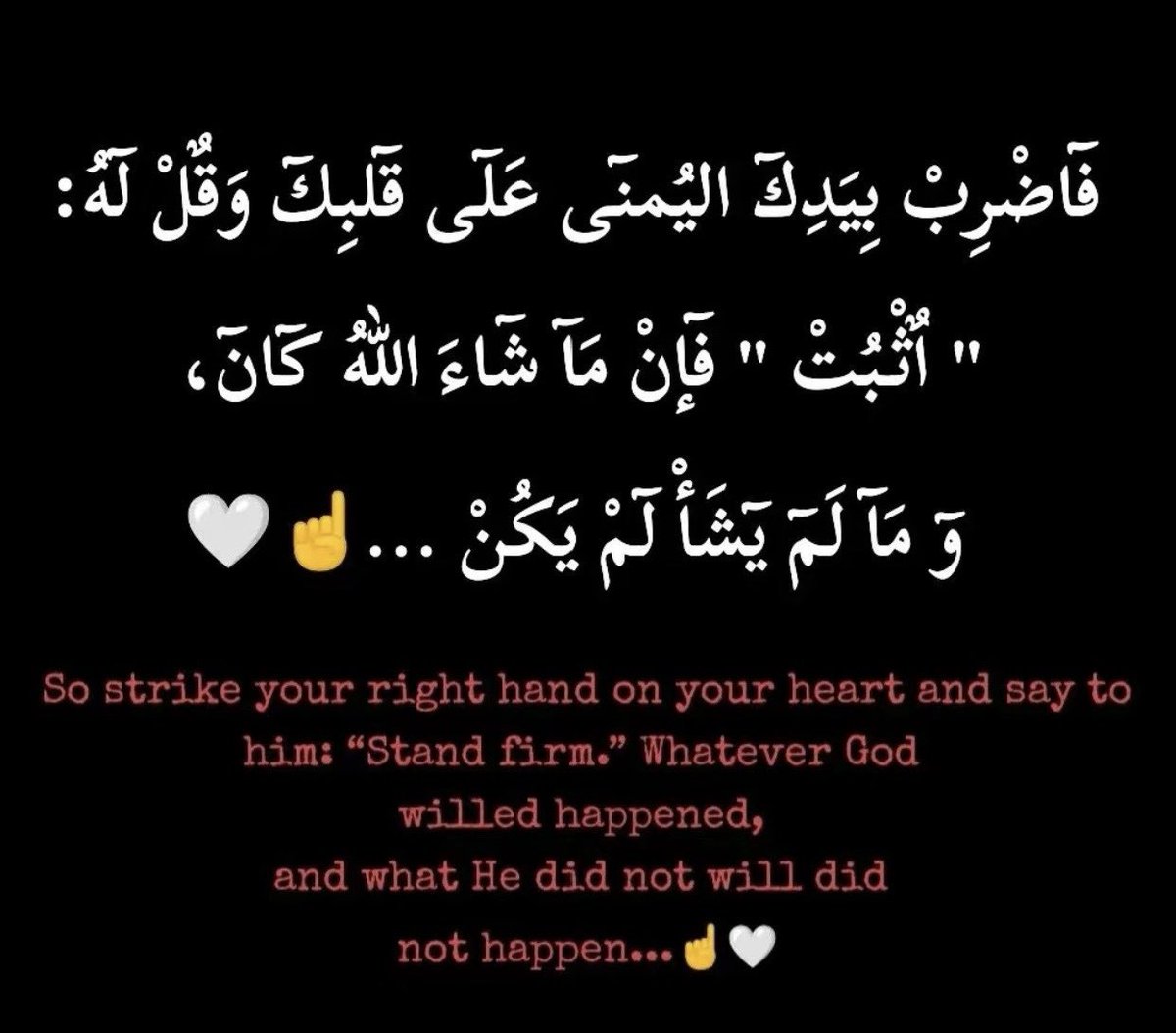 Ali Gazal (@aligazal) on Twitter photo 