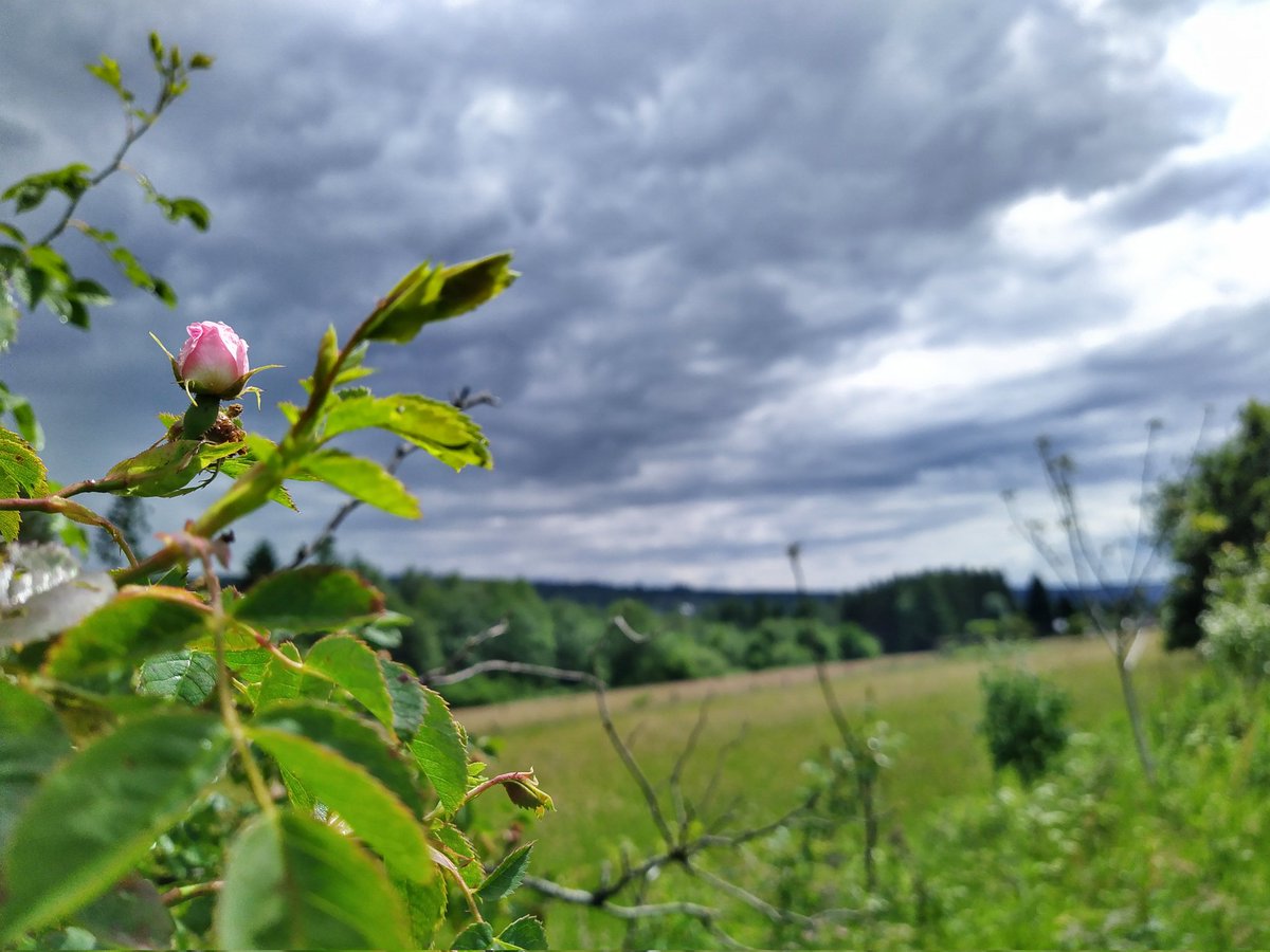 Grüße aus dem Solling