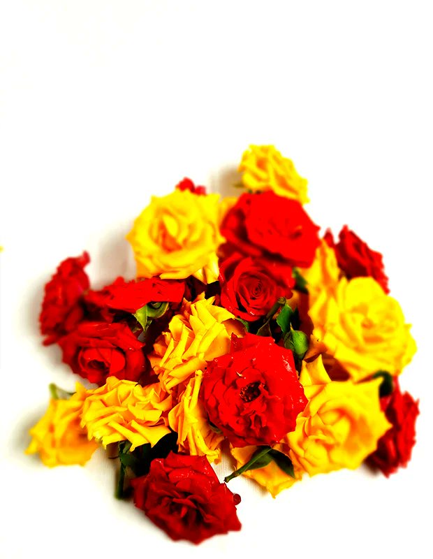 GetFlowersDaily's tweet photo. 🌸✨ Elevate Your Pooja Experience with Fresh Loose Flowers in Bangalore! 🙏✨
🌐Visit our website: [https://t.co/7nR0PbmjMH]
#flowershop  #bangalorediaries #Nearby  #Bangalore #GetFlowersDaily #FreshPoojaFlowers #BangaloreSpirituality #DivineWorship #SacredOfferings https://t.co/UCsyzUxWy1