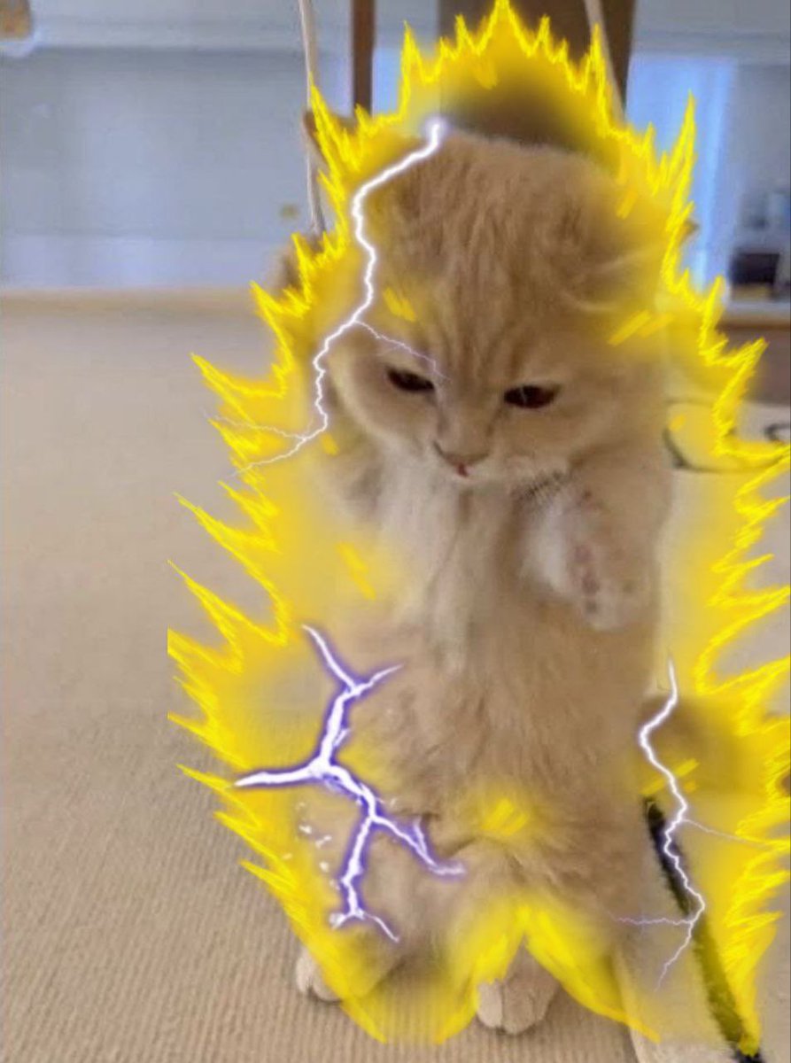 $KICHI is the strong one today💪🏻💪🏻