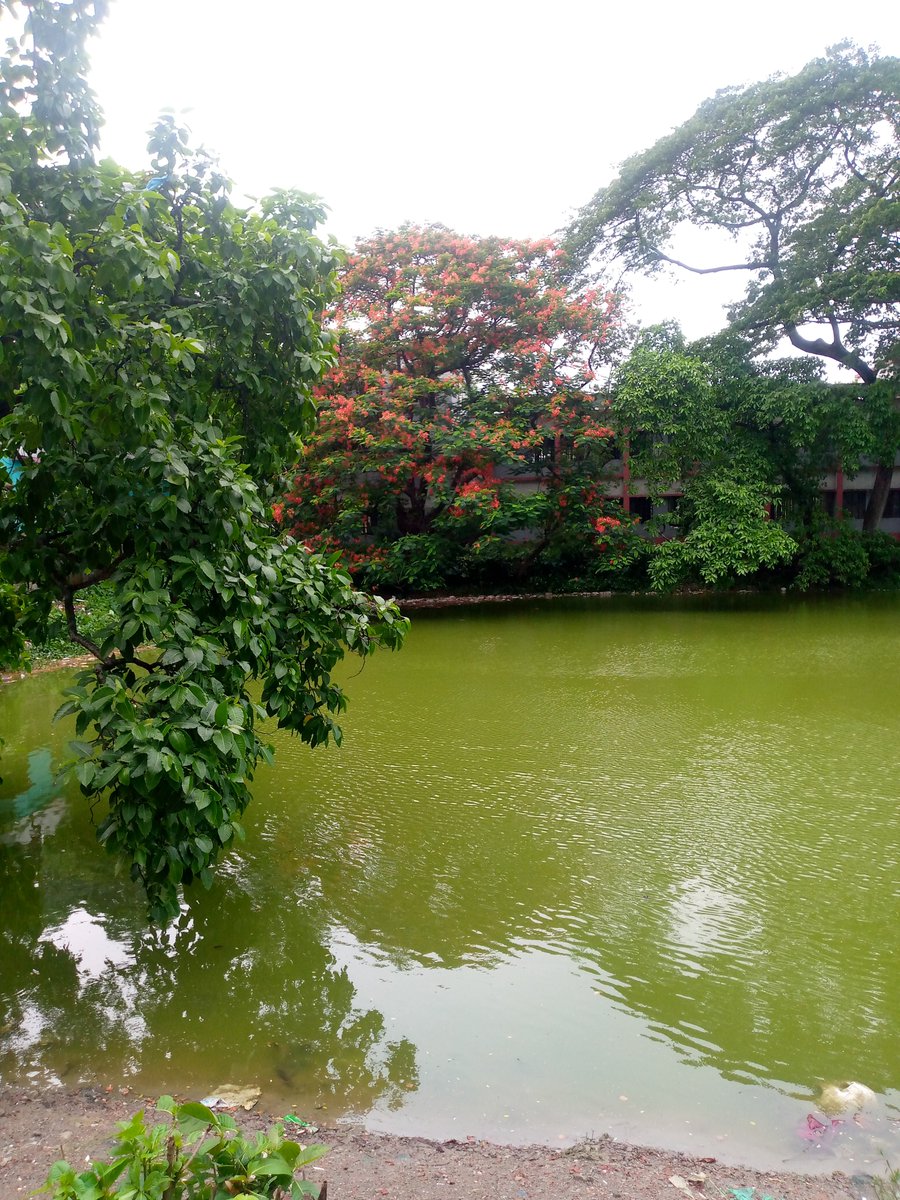 MstSaniya57178's tweet image. Natural beauty 🍀:fiverr.com/saniya2500bd/b…
#Eventpost #functin #prize #beautifulwork #girls #happydays #flowerlover #naturalbeauty #lovelypeople #NatureBeauty #natural #beauti #Rose #Rosenchor #tranding #famous #flowergarden #GardenersWorld #morning #waterwastage