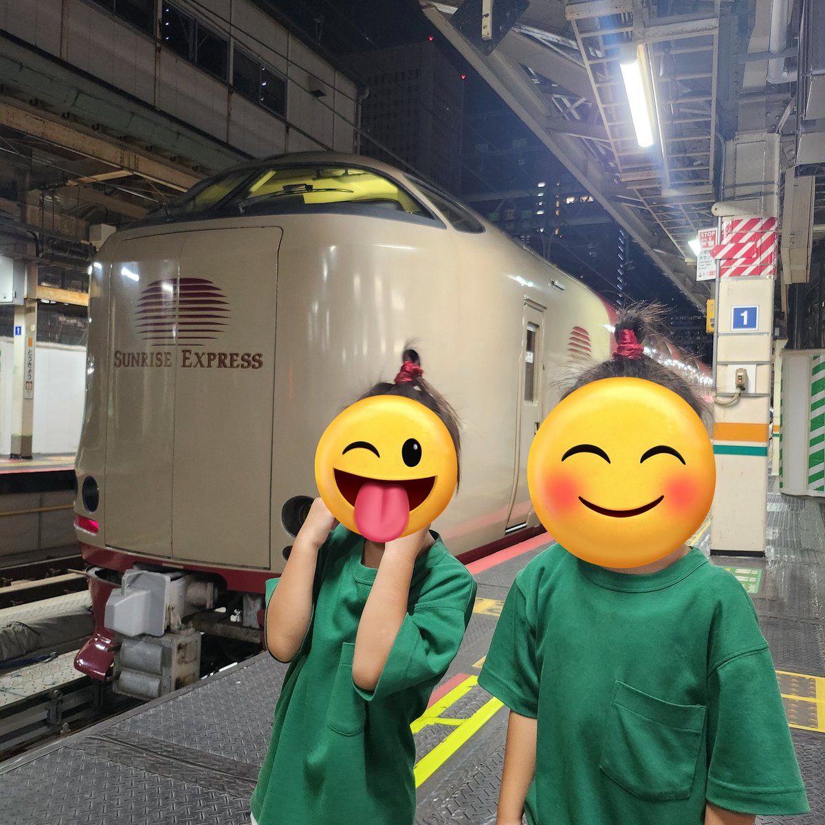 HYNE_com's tweet photo. 本日のお宿🚃
ずっと乗りたがってたサンライズ瀬戸 https://t.co/wK31xxtNS1