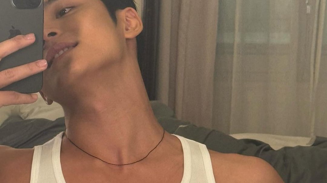 mingyu pics tweet media