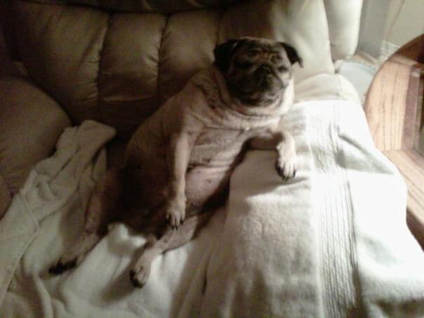 How I’m spending Father’s Day today.