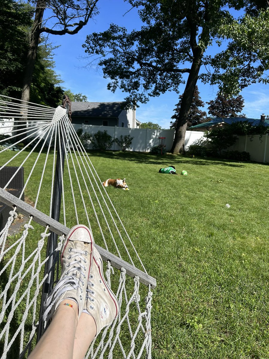 brought my dog over while I dog sat for one of my soon-to-be senior residents this weekend &amp; honestly this was the best way to spend my last weekend before residency orientation ☀️