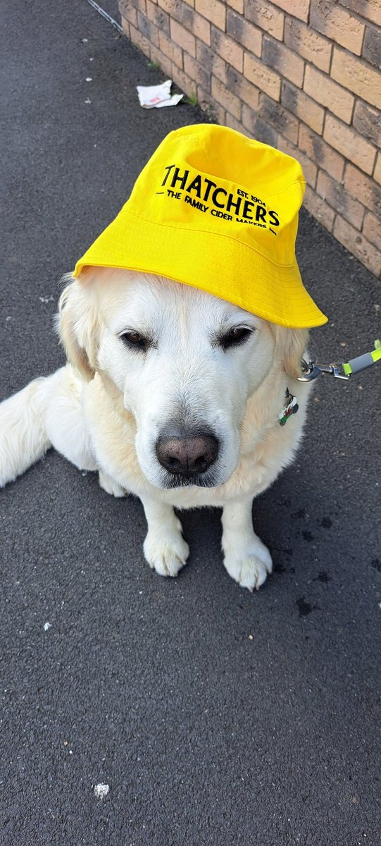 A day at the cricket at Taunton for Jonty with his <a href="/thatchers_cider/">Thatchers</a> complimentary bucket hat