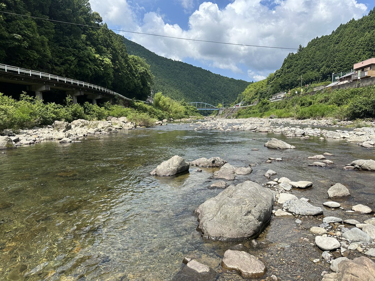 warashinn's tweet photo. 週末2日で8万発で間に鮎🤣

24日初のキハダキャスティング行くし泡銭でタックルもう一個増やそかな🫣 https://t.co/0cRz1Kvpx6