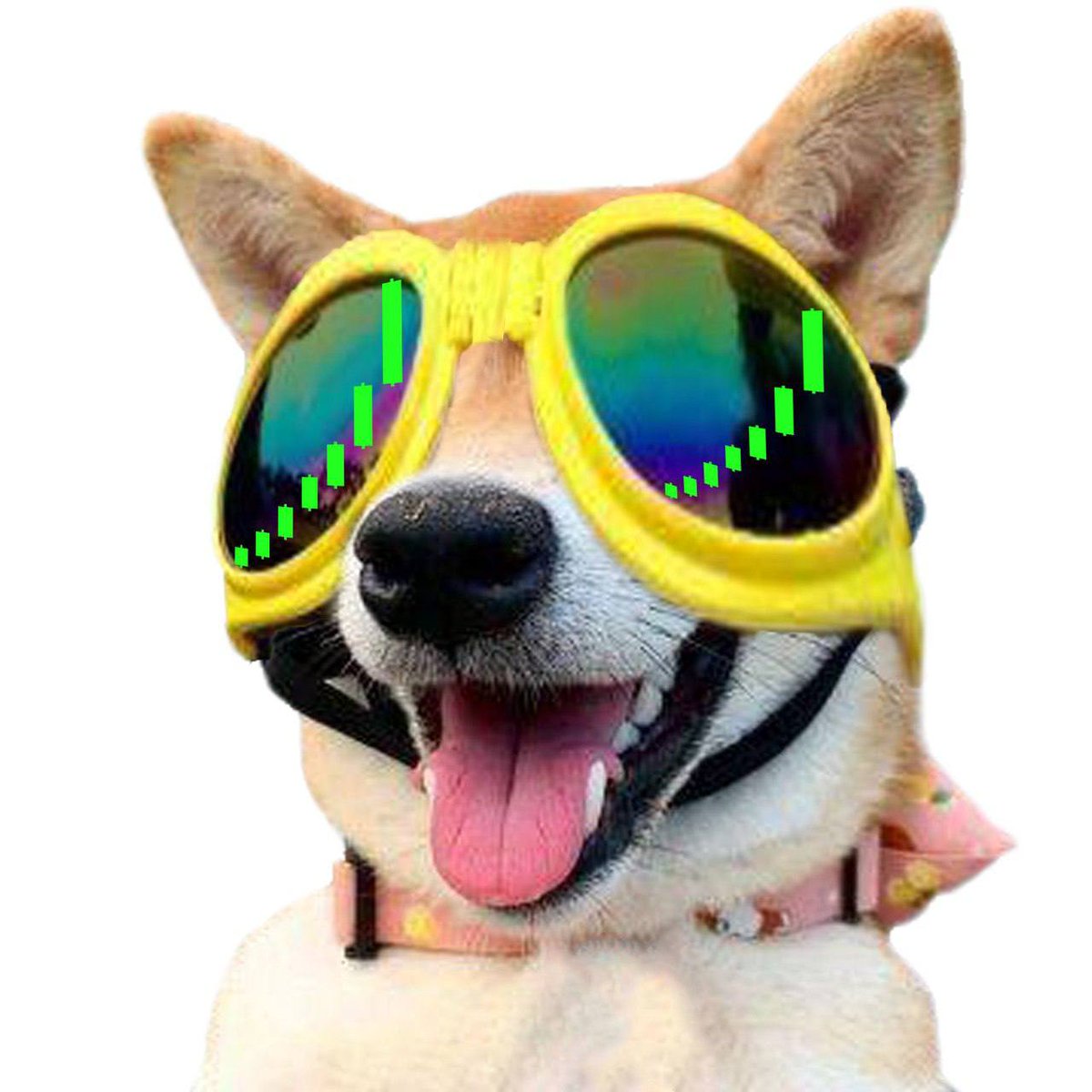 MOGDOG_SOLANA's tweet photo. $MOGDOG just applied for @JupiterExchange strict list. Kindly check for the safety of trading $MOGDOG 🐶🫶

CA: Bzu1nWVKRFEn7FRumTNrTC4qqxtBaMCMBNY1z7ejpump

#Achi $WIF #Solana #Jupiter #Strictlist https://t.co/43IKwM0mTh
