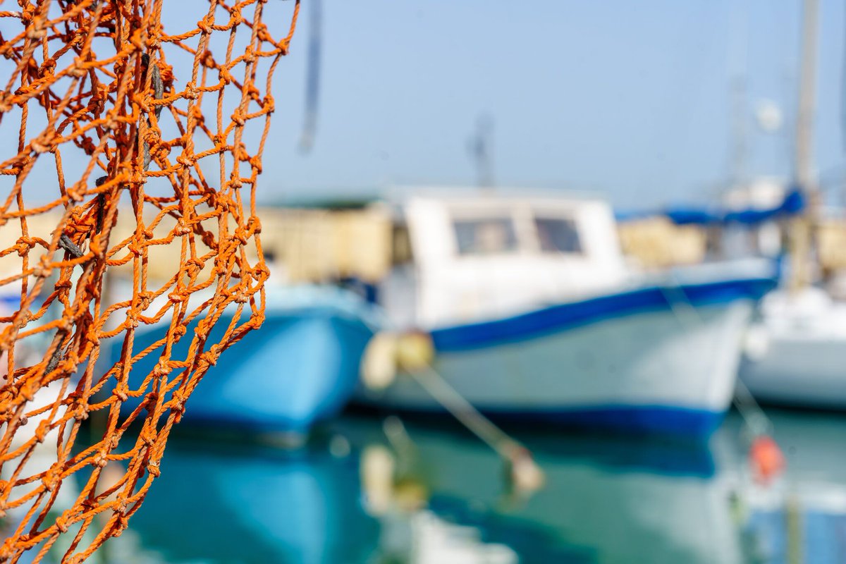 FIRMisrael's tweet photo. Is Tel Aviv mentioned in the Bible? Does it hold any significance for you as a believer, aside from being located in Israel? Read this article to learn more about Tel Aviv and how it connects to your faith: https://t.co/eHKRUoNb1d https://t.co/qzYrJ440J7