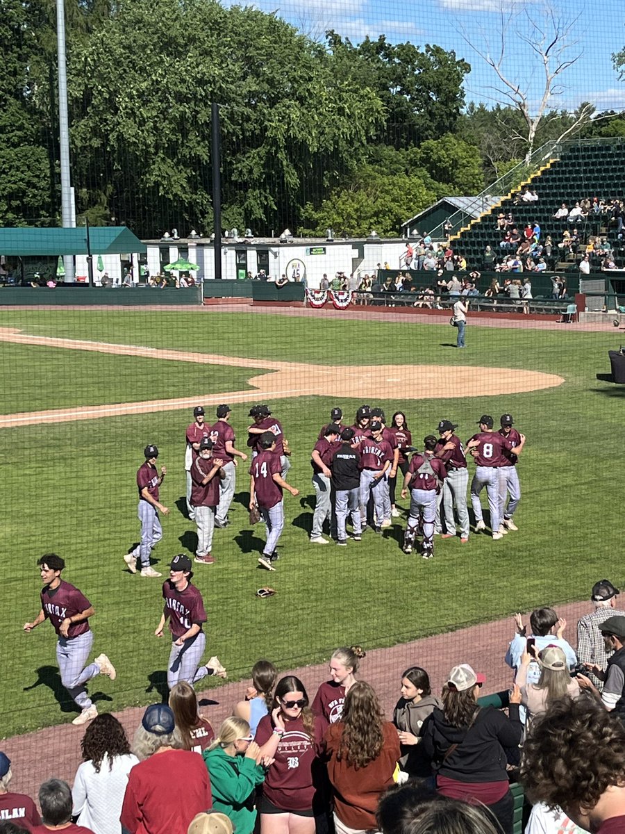 Pure joy as the #bfairfax baseball team wins the D3 championship