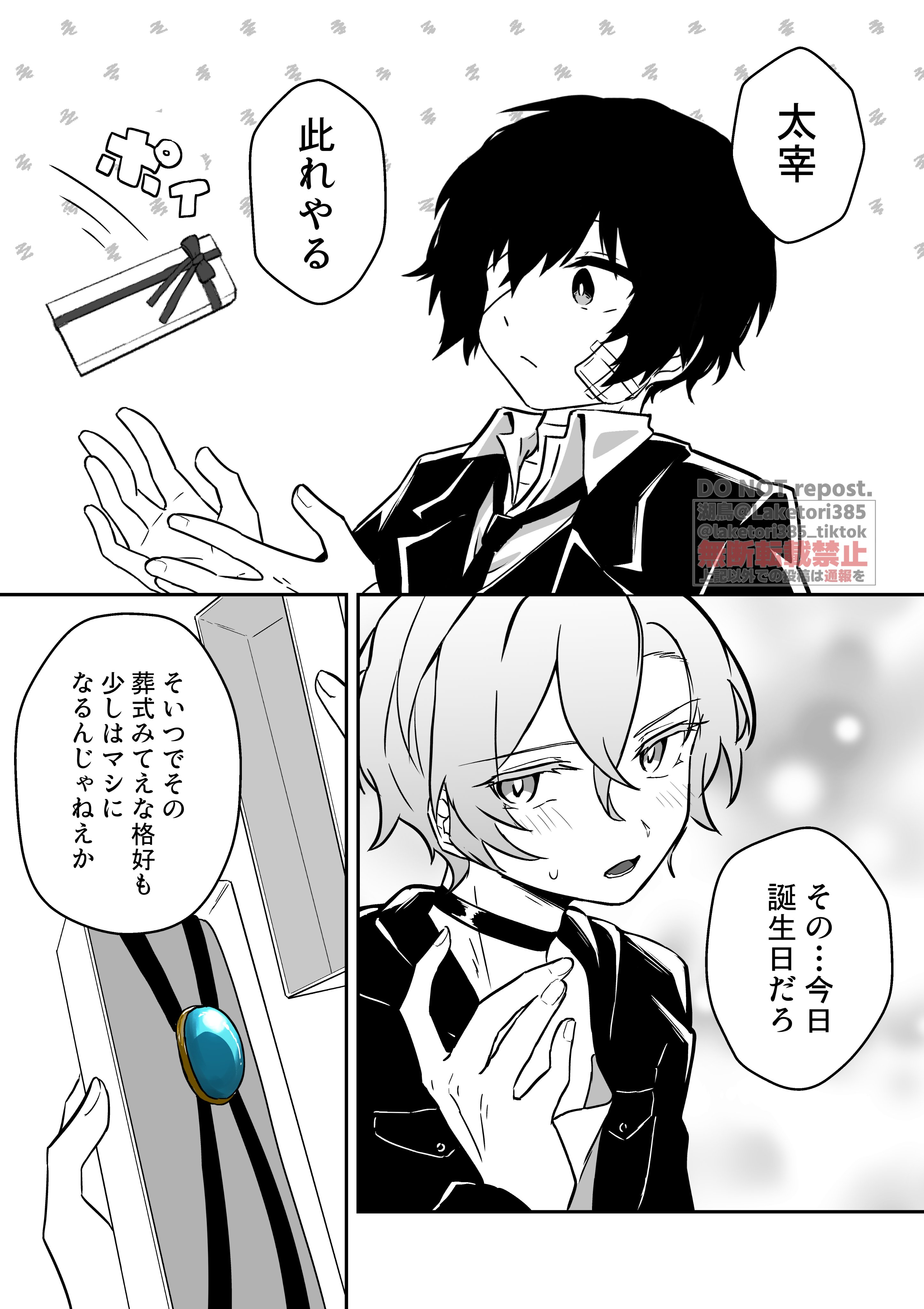 SCHIM SCHIMMEL【ライトオブホーム】395限定 SCHIM SCHIMMEL