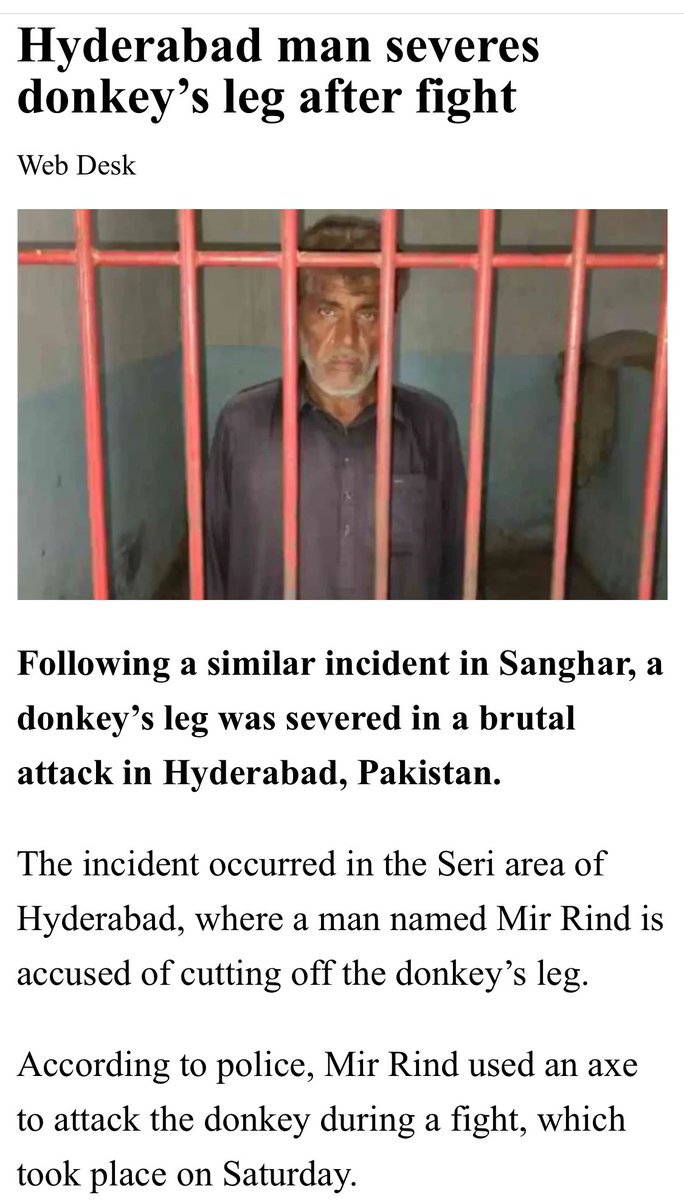 اونٹ کے بعد گدھا انسان کہ حیوان