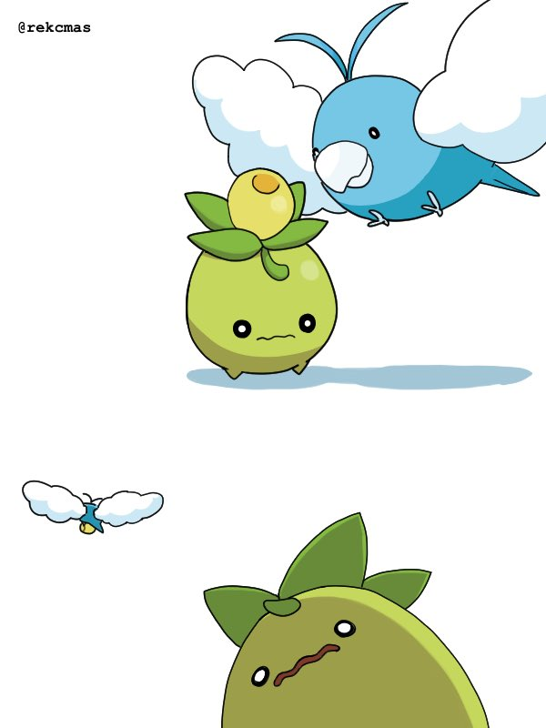 smkr💛💚 tweet media