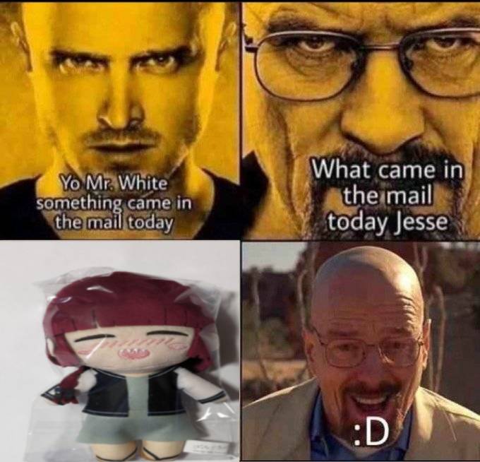 Daily Kikuri tweet media