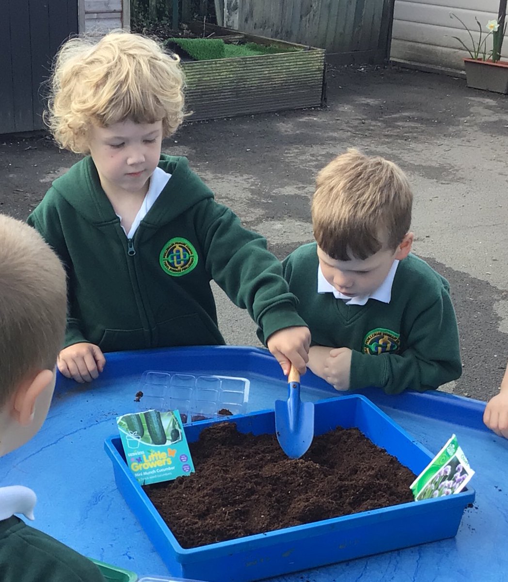 As part of ‘Our Wonderful World’ topic Nursery did some planting for our Enterprise Project a few weeks ago. We’ve been looking after the seeds and watching them grow. Look out for what happens next. <a href="/PenllergaerP/">Penllergaer Primary</a> #ppssci #ppsout #ppsnurs