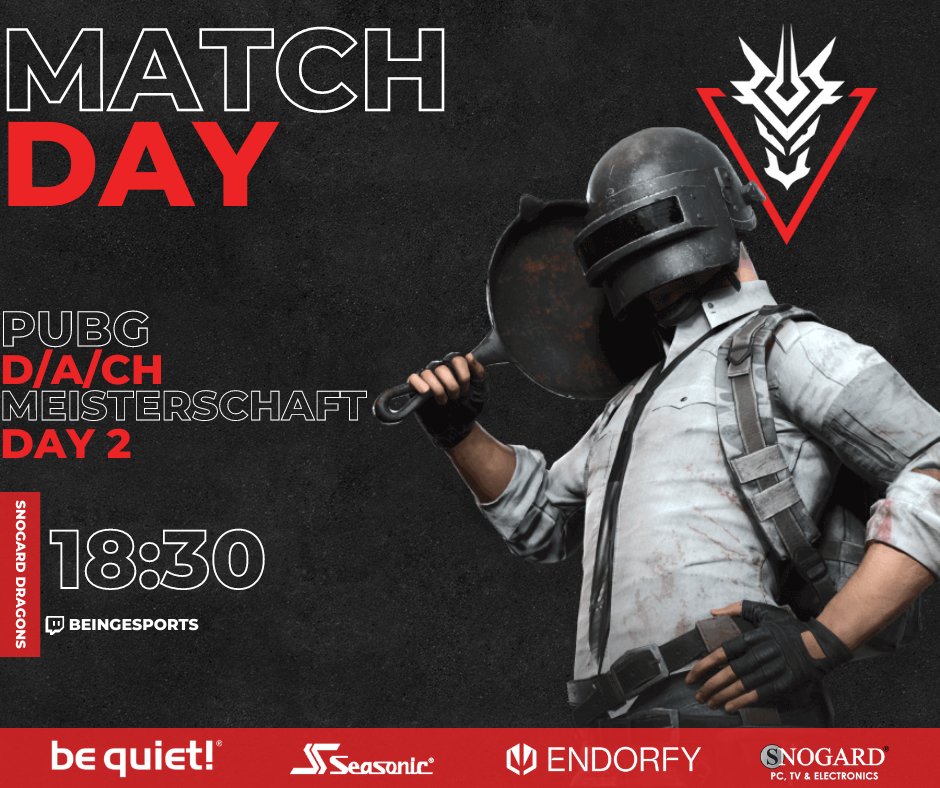 SNOGARD Dragons 🐉 tweet media