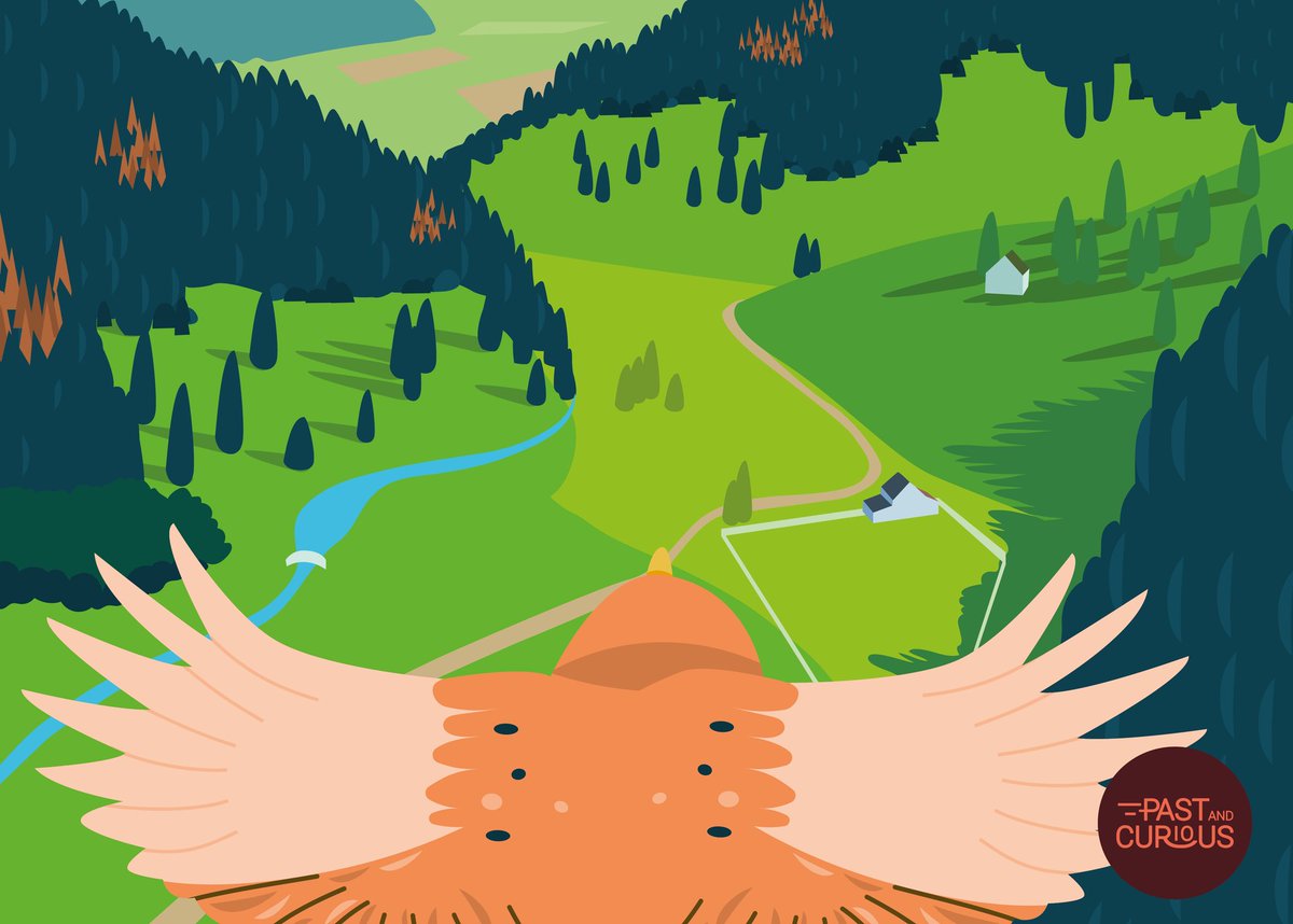 À l'occasion des <a href="/journees_archeo/">Journées archéologie</a>, un nouvel épisode ! "Vieilles branches : les dernières forêts subnaturelles d'Europe tempérée", écrit avec <a href="/GEODE8/">GEODE_Lab</a> et le programme Bendys ! 

C'est par ici 👉 youtu.be/MC6l0OQmtX0?fe…