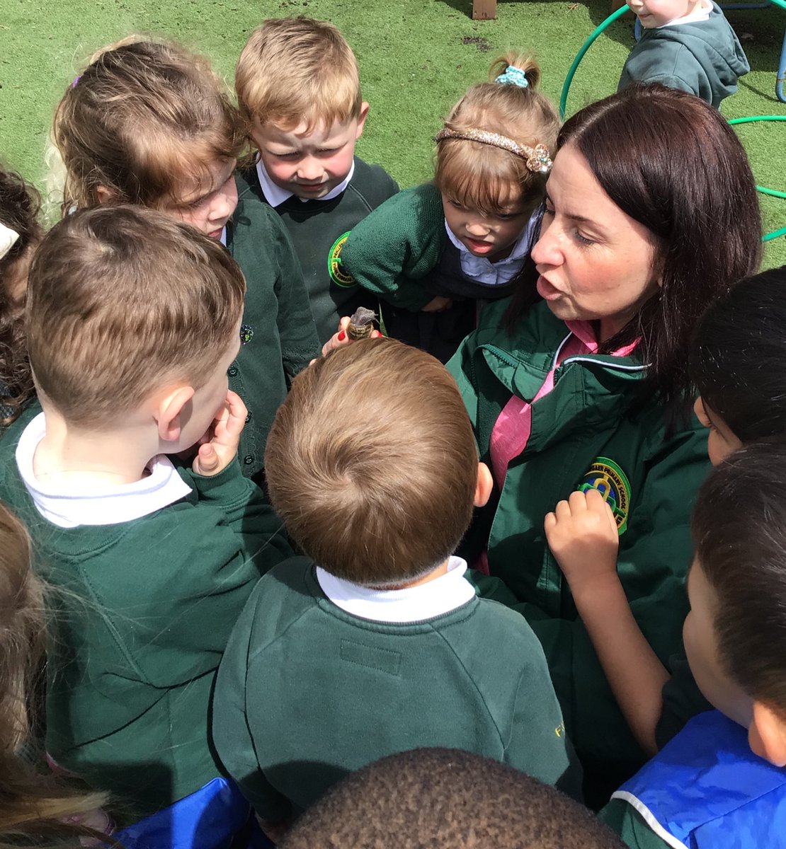Afternoon nursery we’re so pleased to find a snail outdoors and spent lots of time observing and talking about him. They decided that Sid was a good name then we carefully returned him to a nice leafy area. 🐌🍃 <a href="/PenllergaerP/">Penllergaer Primary</a> #ppsout #ppsnurs #ppssci