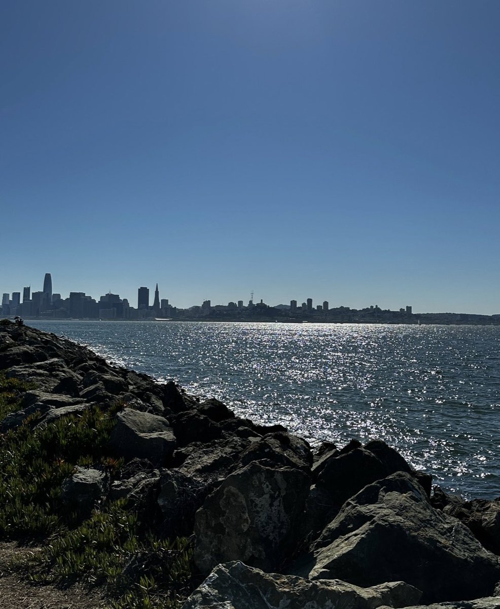 Sometimes the setback is the setup