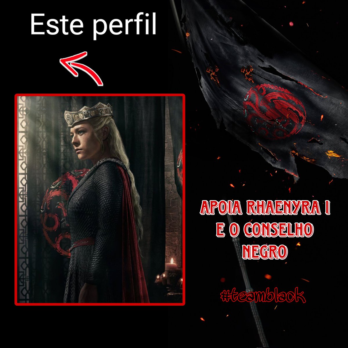TeamDaenerysBR's tweet photo. Hora da verdade! Curta e dê RT se você apoia Rhaenyra e é #teamblack

#HouseoftheDragon https://t.co/JhLnVOcleJ