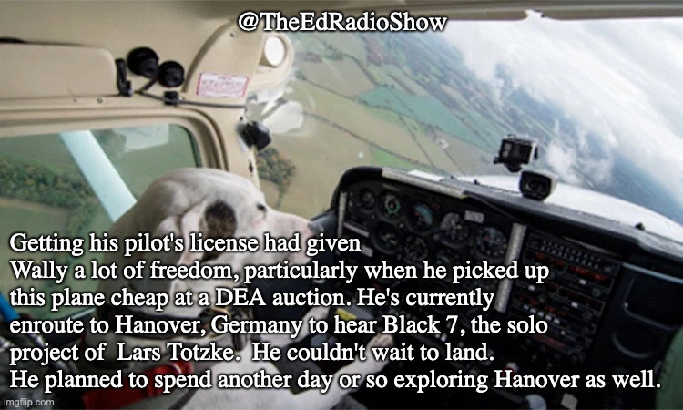 #radio #dogs #guitar #germany #hanover 

Wally heads to Hanover to hear <a href="/Black7germany/">Black 7</a>