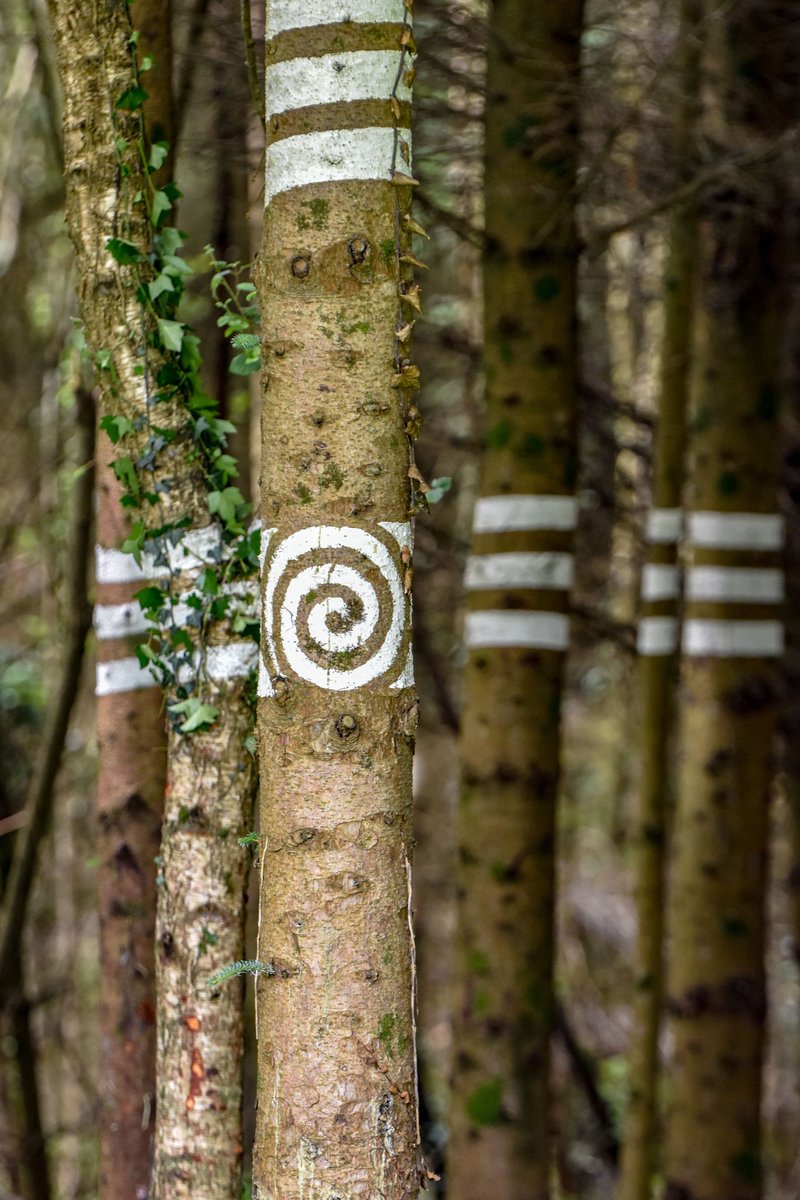 Kenneth Gallery Smyth tweet media