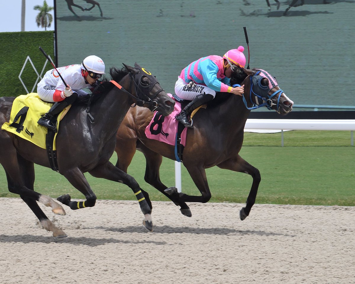 My Sweetheart Dani prevails in race 3, <a href="/ivanPimentelJr/">Ivan Pimentel Jr</a> is the winning rider, and Aubrey Maragh is the winning conditioner.  #GulfstreamPark #RoyalPalmMeet