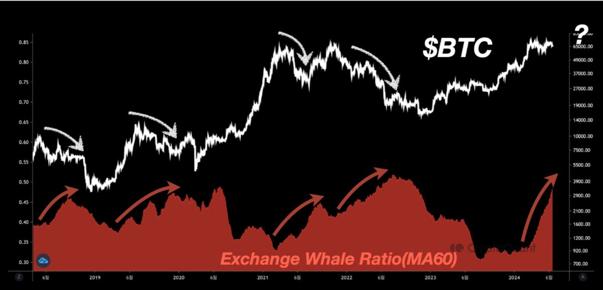 BitopexIO's tweet image. This ratio of the top 10 inflows to the total inflows of the exchange. High values indicate whales are using the exchanges in large amount. #bitcoin #trading #optionen #bitopex