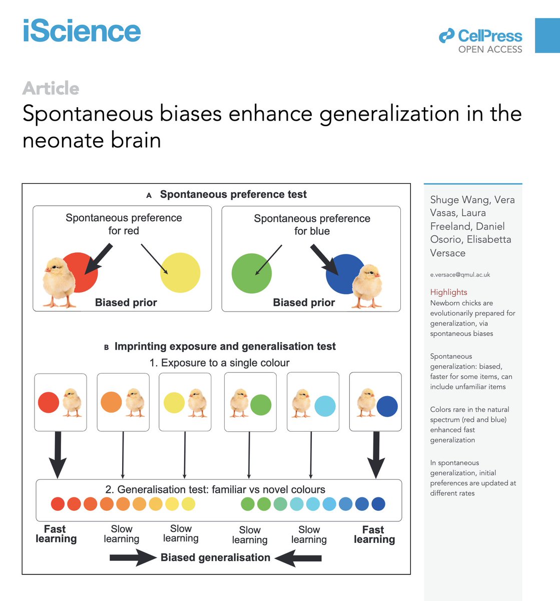 elisabetta versace (@eli_versace) on Twitter photo Why do animals start life with priors/predispositions?
We showed that priors enhance learning and generalisation: check our new, colourful work cell.com/iscience/fullt… by
<a href="/Shuge_Wang/">Shu Wang</a> <a href="/VeraVasas/">Vera Vasas</a> <a href="/Lauravfreeland/">Laura</a> #Osorio <a href="/eli_versace/">elisabetta versace</a> 🧵 <a href="/CellPressNews/">Cell Press</a> collab <a href="/QM_SBBS/">QM_SBBS</a> <a href="/SussexUni/">University of Sussex</a> Why do animals start life with priors/predispositions?
We showed that priors enhance learning and generalisation: check our new, colourful work cell.com/iscience/fullt… by
<a href="/Shuge_Wang/">Shu Wang</a> <a href="/VeraVasas/">Vera Vasas</a> <a href="/Lauravfreeland/">Laura</a> #Osorio <a href="/eli_versace/">elisabetta versace</a> 🧵 <a href="/CellPressNews/">Cell Press</a> collab <a href="/QM_SBBS/">QM_SBBS</a> <a href="/SussexUni/">University of Sussex</a>