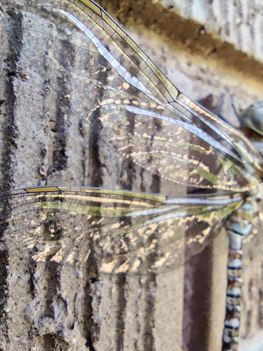 Jar O' Farts tweet media